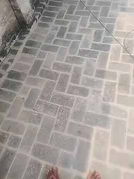 PunjabiSardarBull online show from November 20, 4:34 am