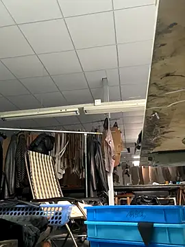 DHJM168 online show from January 6, 1:31 am