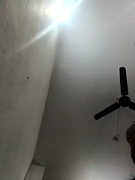 Appypie online show from November 14, 4:00 am