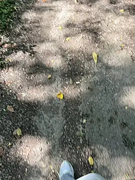 Snapshot of amo660 chatting on September 20, 10:05 am amo660 online show from September 20, 10:05 am