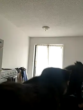 Snapshot of inked_nekoo chatting on December 3, 3:32 pm inked nekoo online show from December 3, 3:32 pm