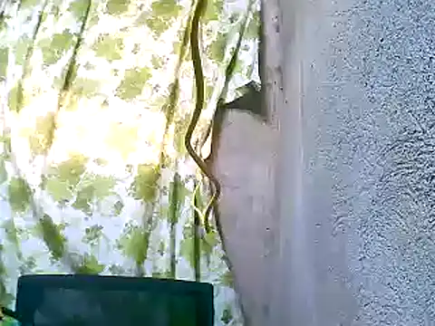 Sweeetgurll online show from November 5, 1:27 am