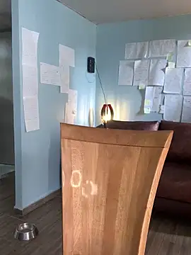 Canneela online show from November 23, 6:08 pm