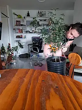 AmnesiaKushxSkywalkerOg online show from January 7, 3:58 pm