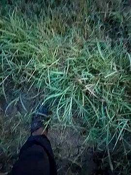 Snapshot of Sonia66w chatting on September 14, 12:21 am Sonia66w online show from September 14, 12:21 am