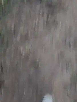 Snapshot of Sonia66w chatting on October 1, 12:49 am Sonia66w online show from October 1, 12:49 am