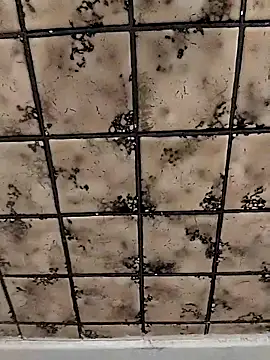 rosembertg online show from October 2, 1:07 pm