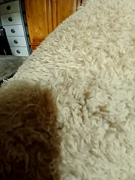 Snapshot of Ahalm chatting on November 16, 2:33 pm Ahalm online show from November 16, 2:33 pm