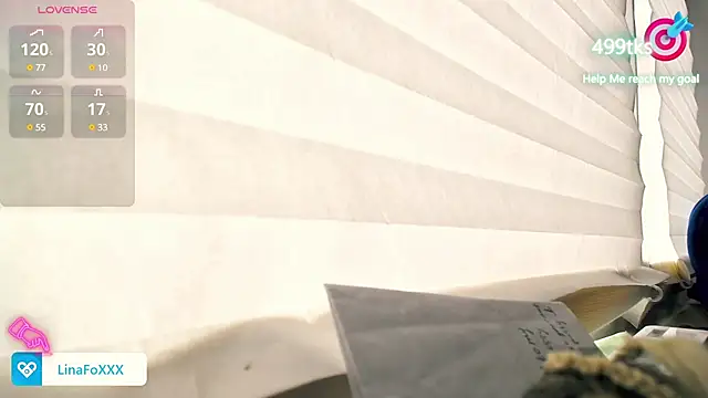 Snapshot of LinaFoX chatting on February 14, 6:56 am LinaFoX online show from February 14, 6:56 am