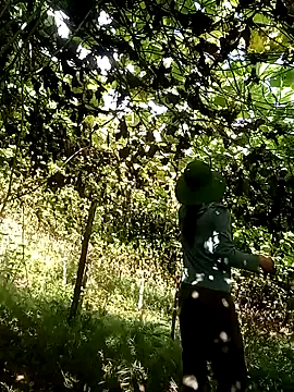 ngan-cute online show from October 18, 1:30 am