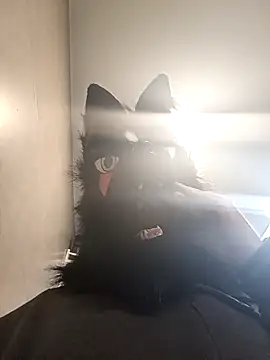 Wolf Okami SP online show from January 14, 2:01 pm