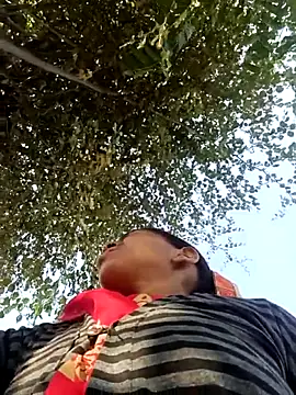 Snapshot of Hot-honi chatting on November 17, 9:37 am Hot-honi online show from November 17, 9:37 am