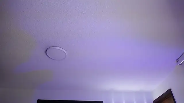 Snapshot of _Charlotte_Collins_ chatting on November 3, 2:29 pm Charlotte Collins online show from November 3, 2:29 pm