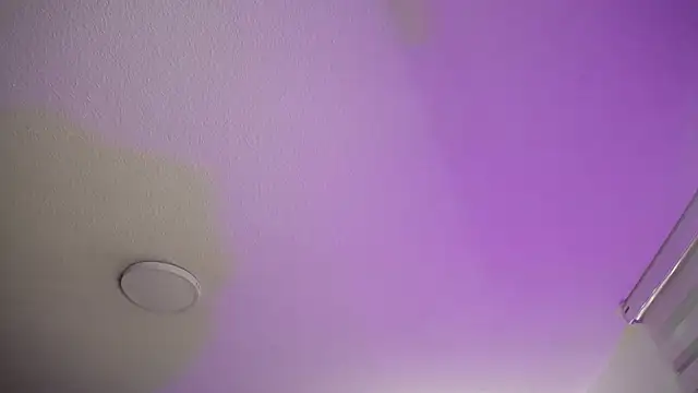 Snapshot of _Charlotte_Collins_ chatting on November 22, 2:16 pm Charlotte Collins online show from November 22, 2:16 pm