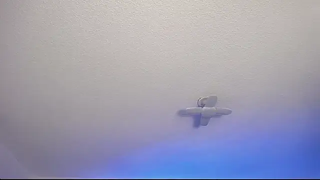 Snapshot of _Charlotte_Collins_ chatting on February 9, 2:54 pm Charlotte Collins online show from February 9, 2:54 pm