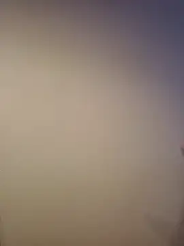 Snapshot of AlphaGymMale chatting on November 11, 11:32 am AlphaGymMale online show from November 11, 11:32 am