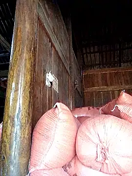 Snapshot of hera-00 chatting on September 20, 3:40 am hera-00 online show from September 20, 3:40 am