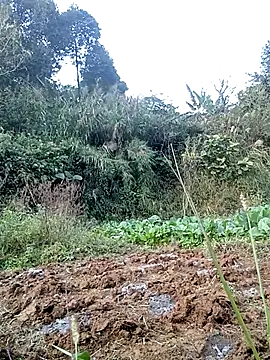 Snapshot of hera-00 chatting on November 24, 8:58 am hera-00 online show from November 24, 8:58 am