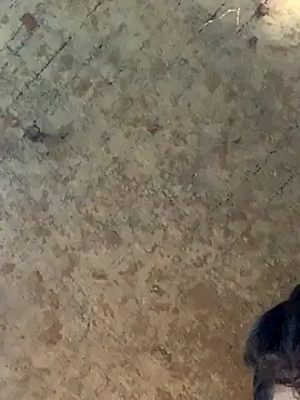 Snapshot of uniquesexyboy5689 chatting on November 27, 10:50 am uniquesexyboy5689 online show from November 27, 10:50 am