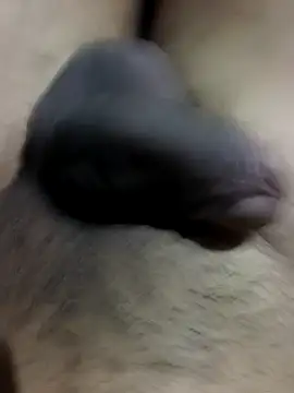 MH 12 11 online show from September 22, 4:31 pm