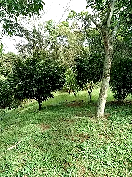 AlphaAlterX online show from January 15, 2:43 pm