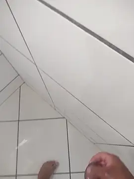 Novin23cms online show from January 13, 11:15 am