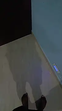 Lavanyaatelugu online show from November 14, 1:21 pm