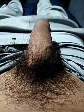 Snapshot of Aaia93 chatting on November 3, 5:52 am Aaia93 online show from November 3, 5:52 am