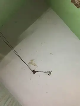 Snapshot of atulsaini560 chatting on December 21, 7:37 am atulsaini560 online show from December 21, 7:37 am