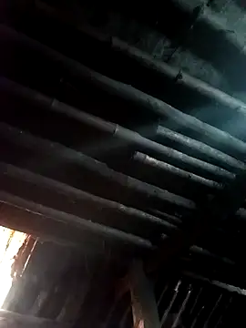 kihi-yo online show from November 10, 1:48 am