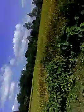 bigdaddyboy46 online show from November 5, 7:30 am