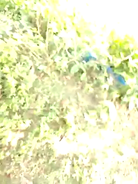 bigdaddyboy46 online show from November 11, 6:13 am