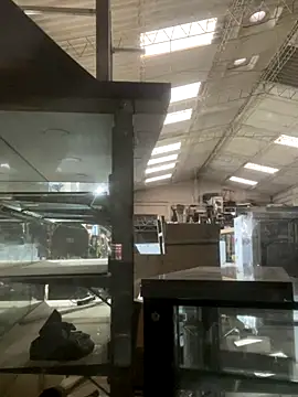 True Di online show from December 14, 11:15 am