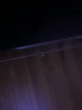 XBODTRIIPX online show from April 7, 11:15 pm