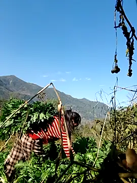 kemtuoi-sex online show from February 5, 8:08 am