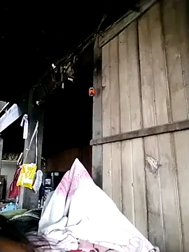 Samdim23 online show from October 2, 2:29 am