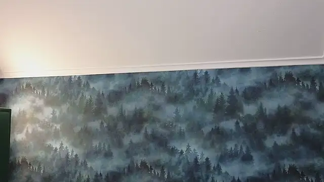 MarkShot  online show from November 11, 8:31 pm