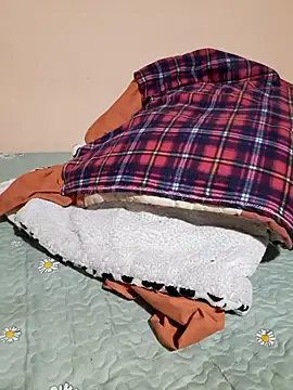 Ansiasex online show from November 17, 2:17 am