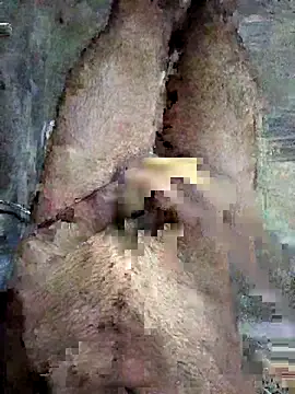 Snapshot of ash706339 chatting on September 19, 6:52 pm ash706339 online show from September 19, 6:52 pm