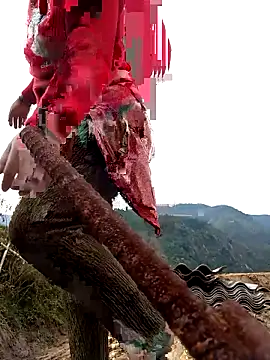 SSexykute3456 online show from November 24, 1:49 am