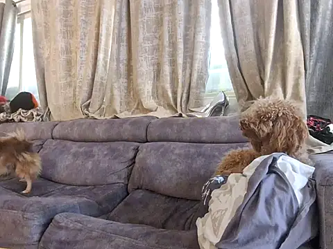 Alexis21821 online show from December 3, 7:05 am