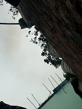 SexyIra89 online show from December 19, 3:35 am