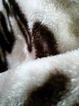 Snapshot of bold_guy_1234 chatting on December 17, 5:35 am bold guy 1234 online show from December 17, 5:35 am