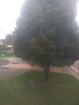 Snapshot of Girl_luna_ chatting on October 3, 5:43 pm Girl luna online show from October 3, 5:43 pm