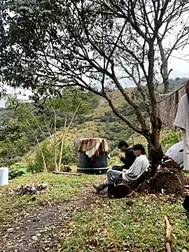 sky-wolves online show from September 20, 3:35 pm