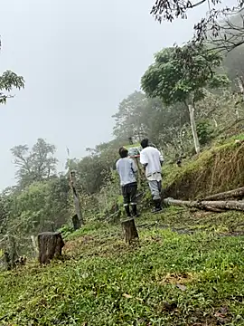 sky-wolves online show from October 11, 3:43 pm