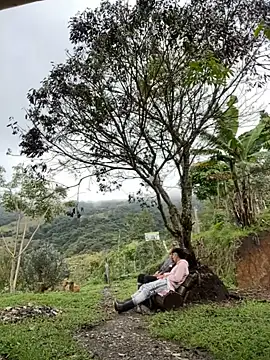 sky-wolves online show from October 18, 4:19 pm