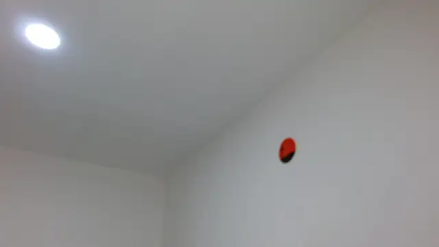 jaico santos online show from February 16, 11:12 pm