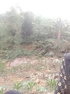 donna-bae online show from April 12, 10:09 am