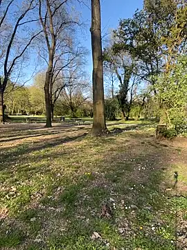 fioralba online show from March 27, 4:07 pm